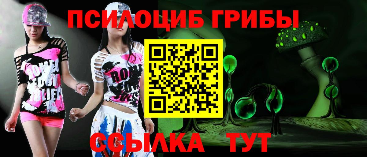 Дагестанские Огни  Псилоцибиновые грибы Cubensis  Вход с VPN 